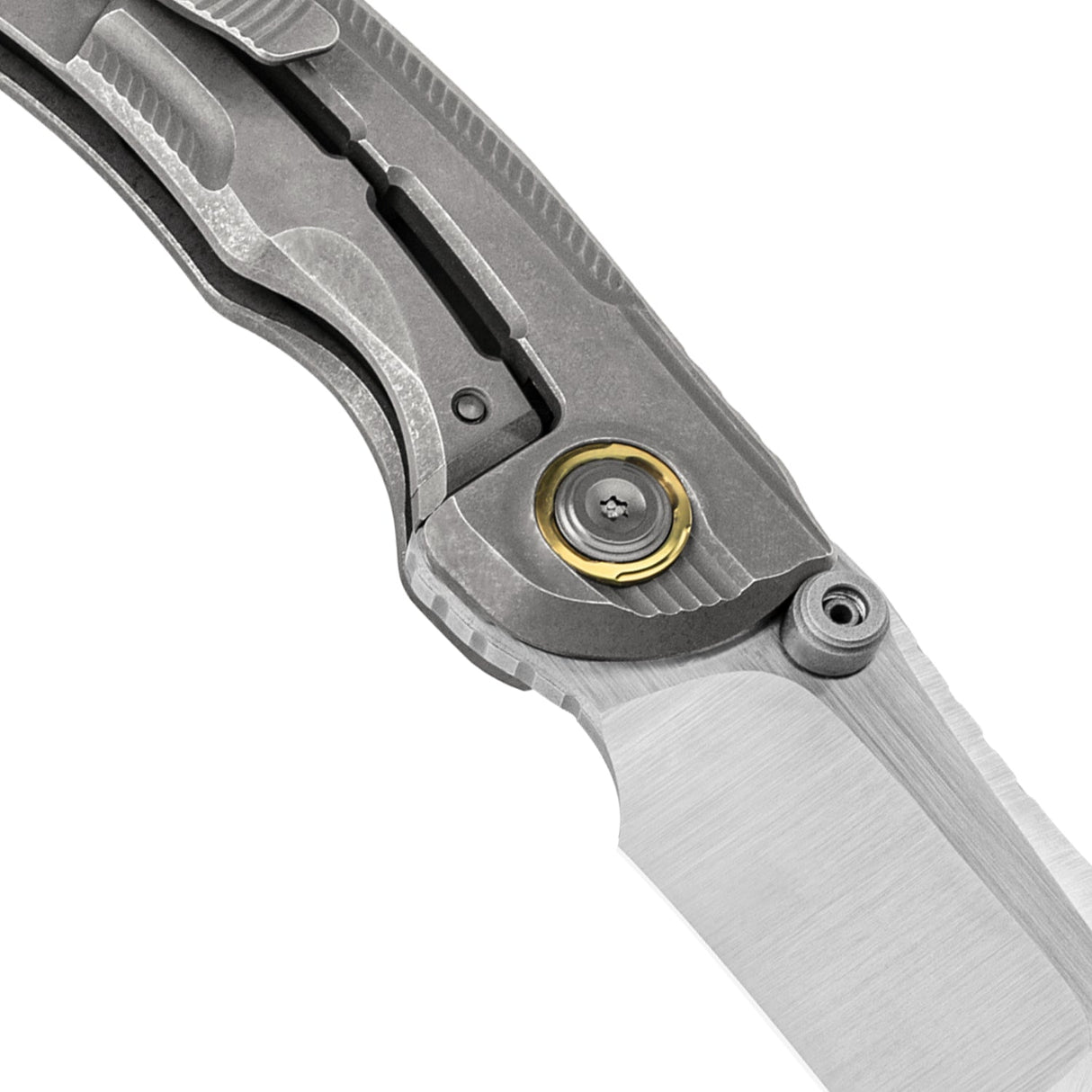 Silver Wing | M390 Compound Grind - X-Series